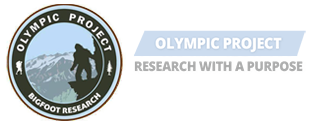 Olympic Project Logo